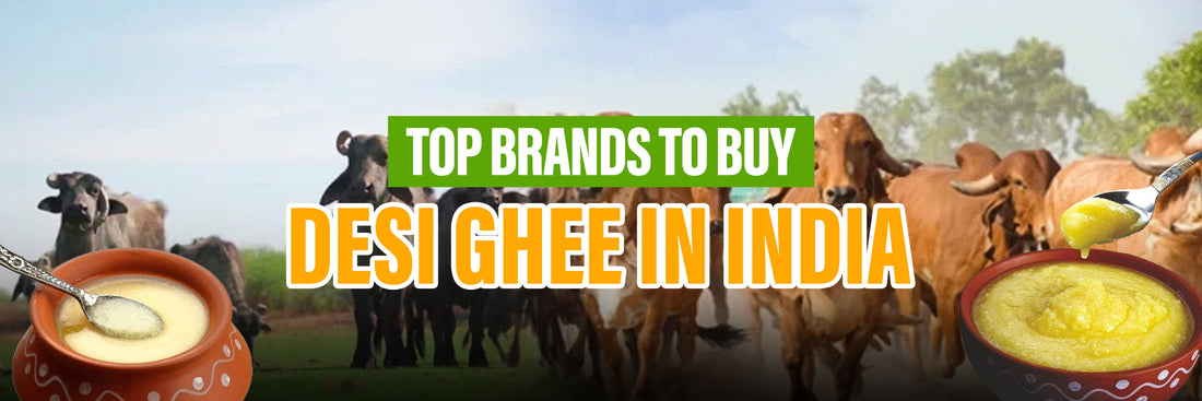 Top 11 Brands to Buy Desi Ghee in India for Ultimate Purity & Taste